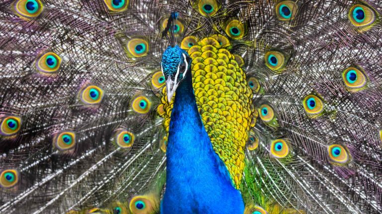 Zoo Resita (45 of 99)